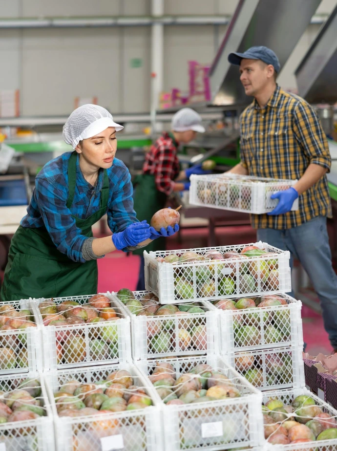 manufacturing-stock-management